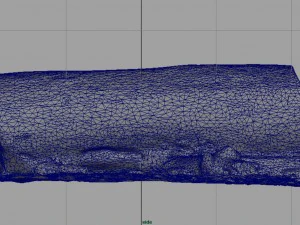 dead trunk 5 3D Model