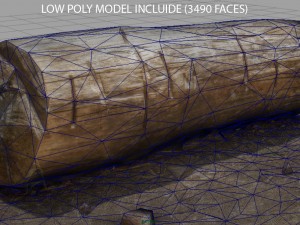 dead trunk 5 3D Model