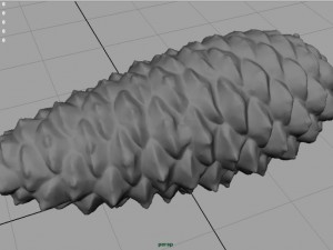 pinecone Model 3D