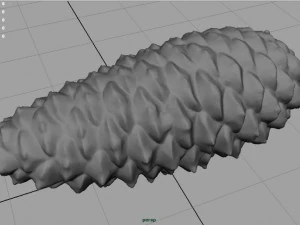pinecone 3D Model