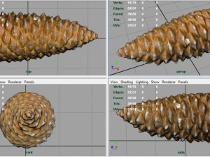 pinecone Model 3D