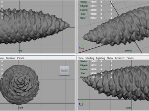 pinecone Model 3D