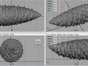 pinecone 3D Model