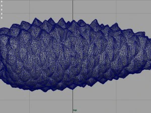 pinecone 3D Model