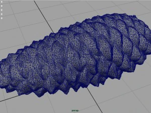pinecone 3D Model
