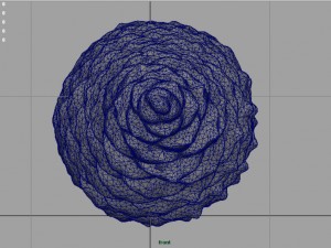 pinecone Model 3D