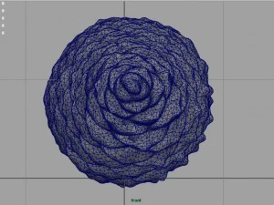 pinecone 3D Model