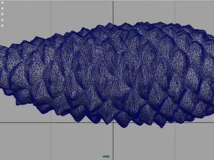 pinecone 3D Model