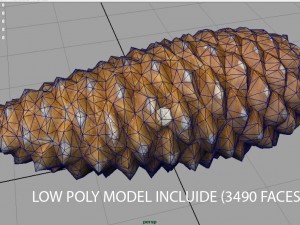 pinecone Model 3D