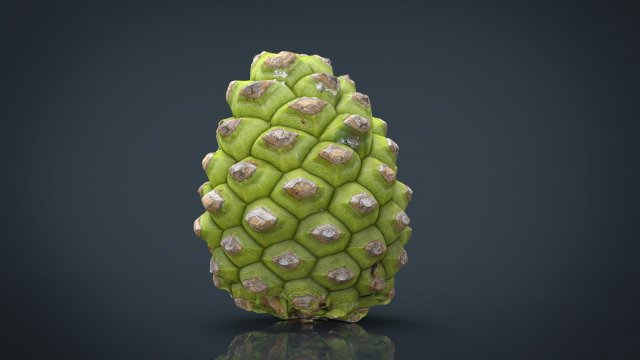 pinecone 2 Modelo 3D .c4d .max .obj .3ds .fbx .stl .blend 