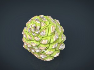 pinecone 2 Modelo 3D