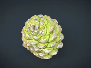 pinecone 2 3D Model