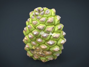 pinecone 2 Modelo 3D