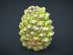 pinecone 2 3D Model