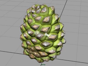 pinecone 2 3D Model