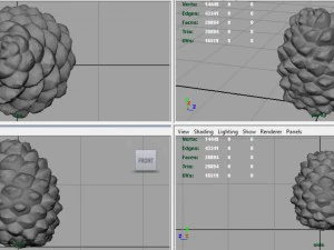 pinecone 2 3D Model