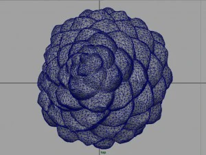 pinecone 2 3D Model