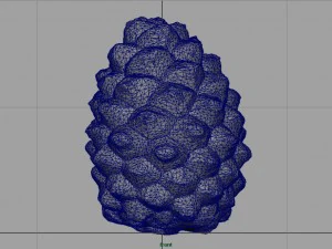 pinecone 2 3D Model