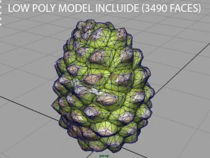 pinecone 2 3D Model
