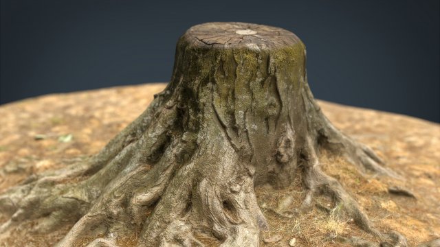 tree stump 2 3D Model .c4d .max .obj .3ds .fbx .stl .blend 