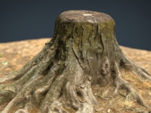 tree stump 2 3D Модель
