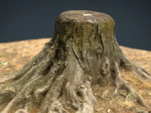 souche d'arbre 2 Modèle 3D