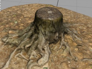 tree stump 2 3D Model