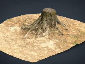 tree stump 2 3D Model