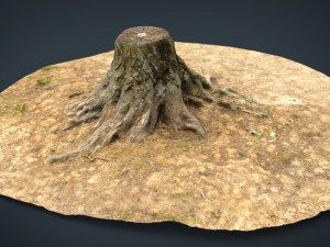 tree stump 2 3D Model