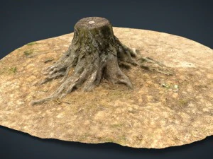 tree stump 2 3D Model