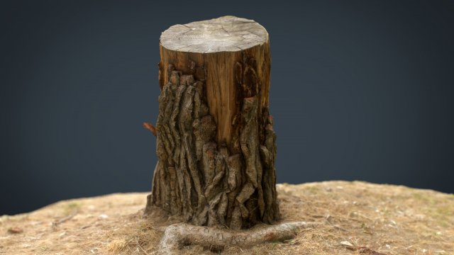 tree stump 3 3D Model .c4d .max .obj .3ds .fbx .stl .blend 