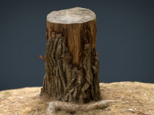 tree stump 3 3D Model