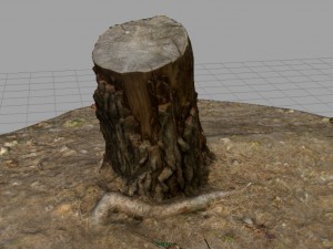 tree stump 3 3D Model