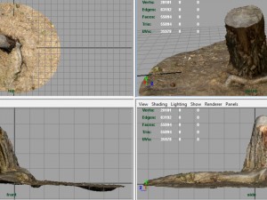 tree stump 3 3D Model