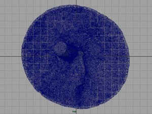 tree stump 3 3D Model