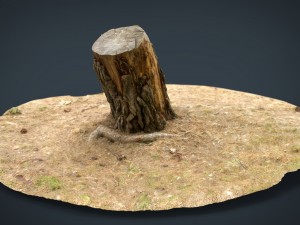 tree stump 3 3D Model