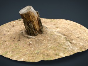 tree stump 3 3D Model
