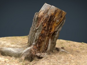 tree stump 3 3D Model