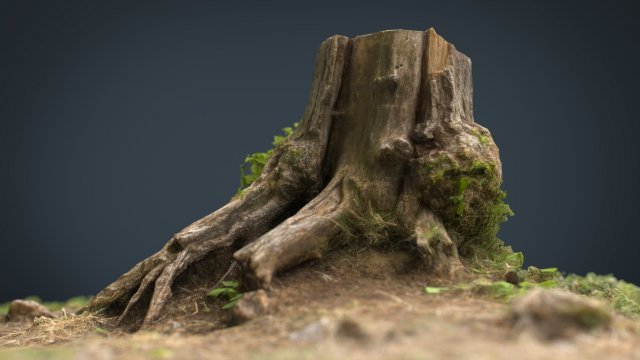 tree stump 4 3D-Modell .c4d .max .obj .3ds .fbx .stl .blend 