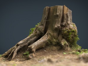 tree stump 4 3D Model