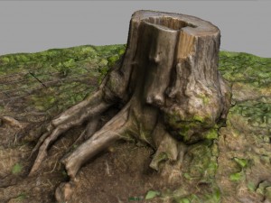 tree stump 4 3D-Modell