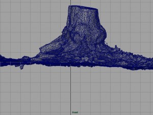 tree stump 4 3D-Modell
