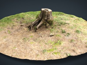 tree stump 4 3D-Modell