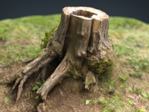 tree stump 4 3D-Modell