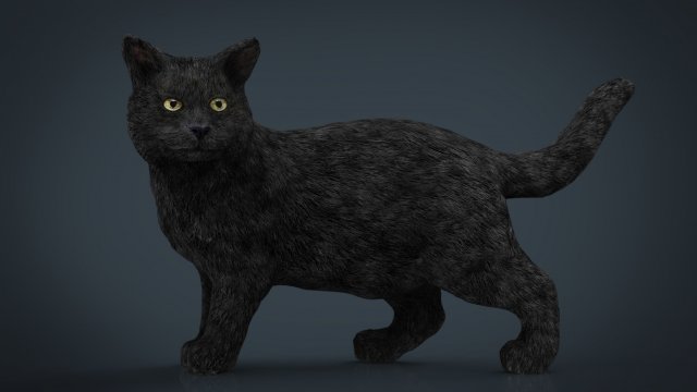 cat 3D Model .c4d .max .obj .3ds .fbx .stl .blend 
