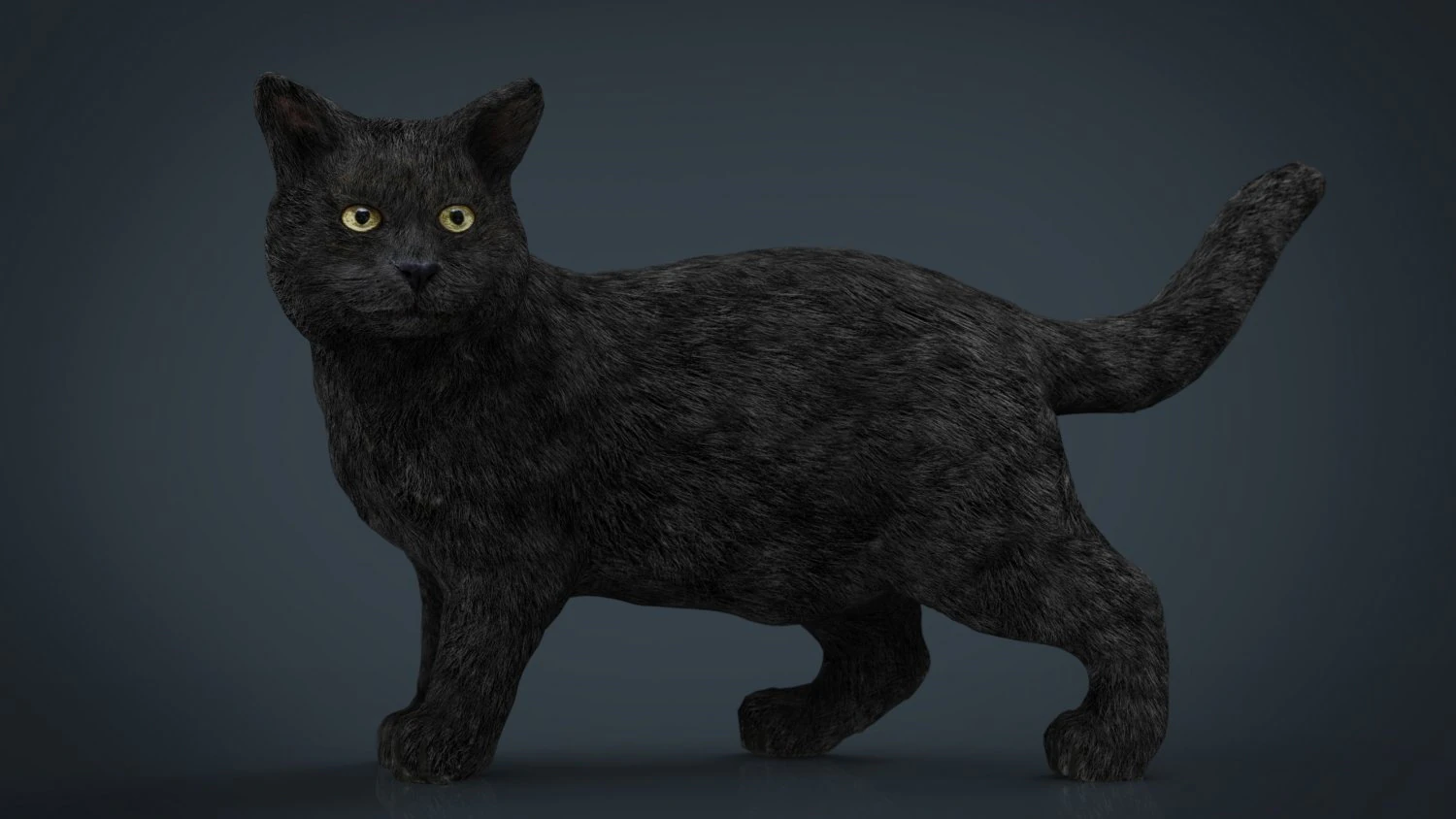 gato Modelo 3D .c4d .max .obj .3ds .fbx .stl .blend 