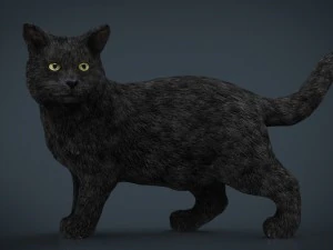 kedi 3D Model