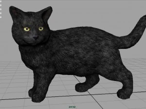 gato Modelo 3D