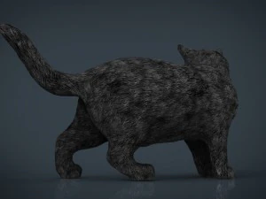 gato Modelo 3D