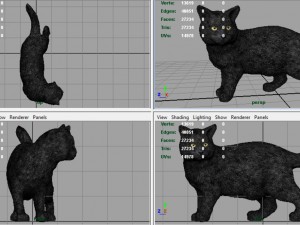 cat 3D Model